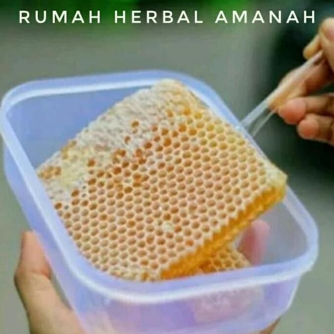 

NEW Madu Sarang Madu Asli Mellifera 500gram READY