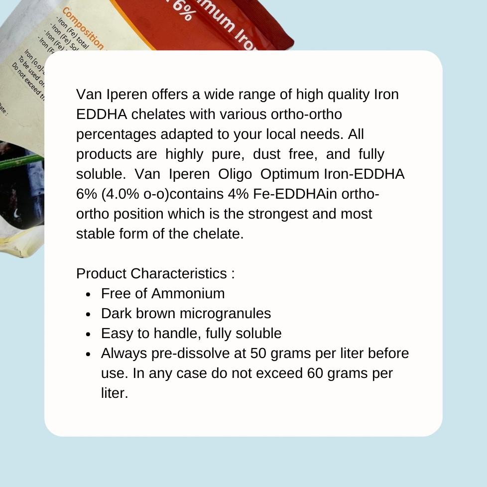 Oligo Optimum Fe EDDHA 6% Ortho 4.0 untuk Hidroponik 500 g