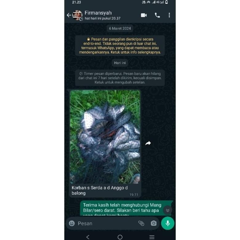 Diskon Essen Sero Darat Special Lumut 10Ml