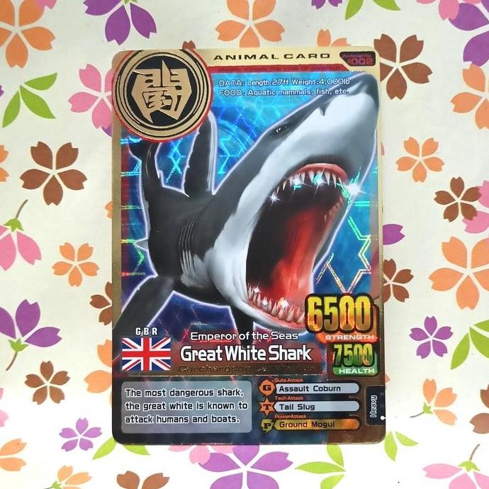 animal kaiser gold great white shark