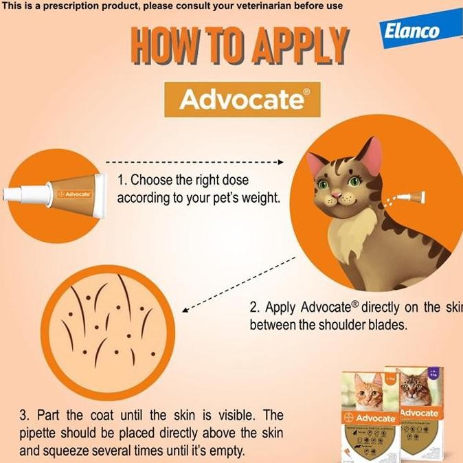 ADVOCATE Cat Obat Kutu Kucing Advocate Elanco