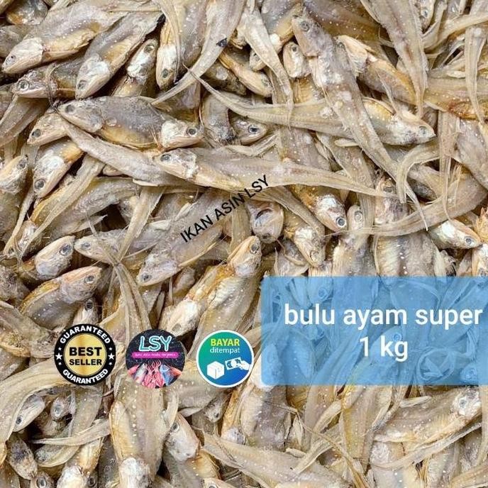 

Ikan Asin Bulu Ayam Kering Super 1Kg