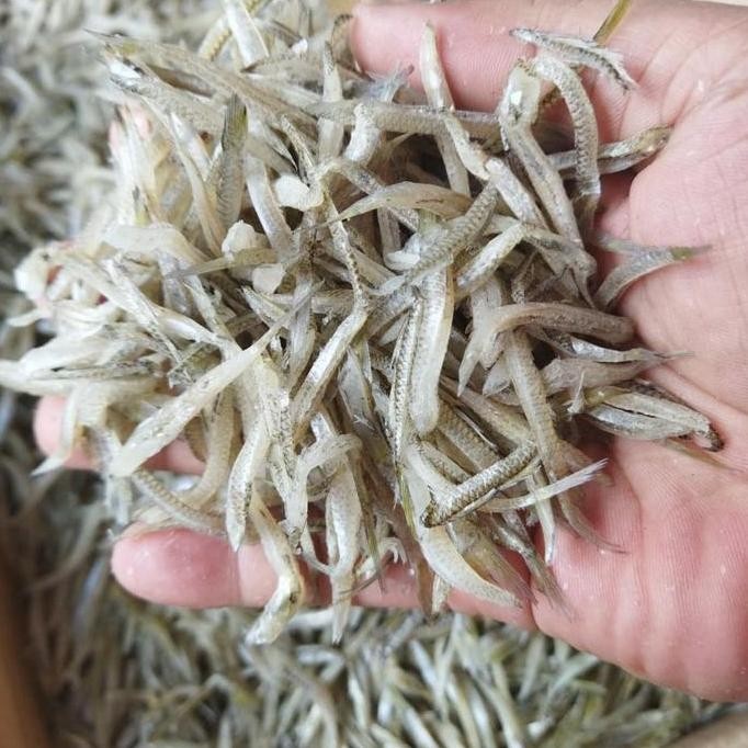 

Ikan Asin Teri Gunting 500 Gr