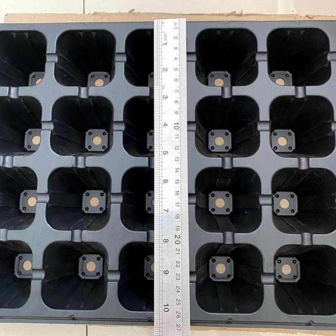Tray Semai Anggrek 32 Lubang - Pot Bibit Benih