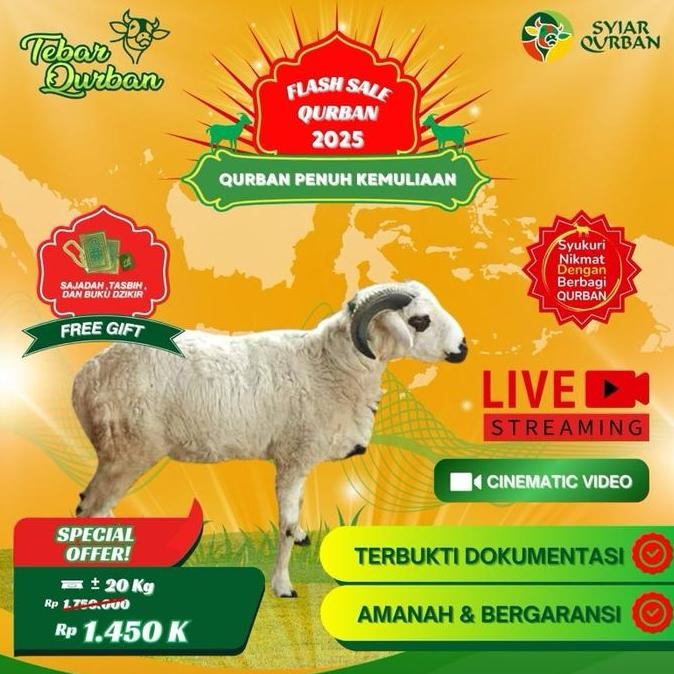 

Domba Kambing Qurban -+20Kg - Sale ! Full Penyaluran Hewan Qurban