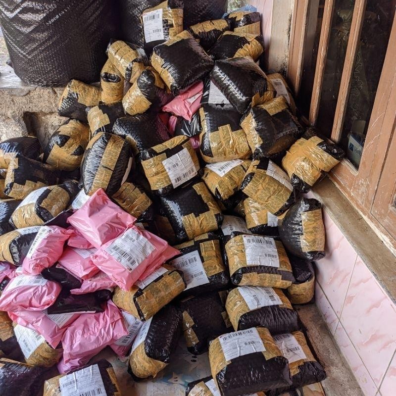 

Usus Krispi Pedas Daun Jeruk 500 Gram Renyah