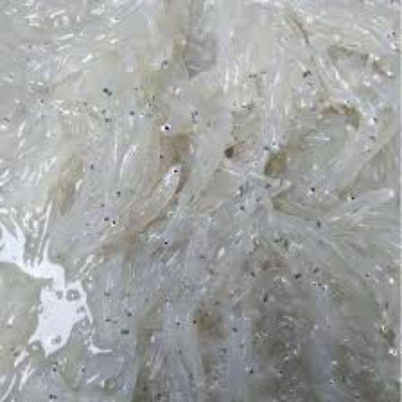 

Cri Teri Nasi Basah Segar 250Gram Kalsium Besi