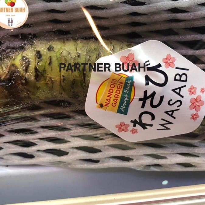 

Wasabi Fresh Utuh Wasabi Akar Jepang