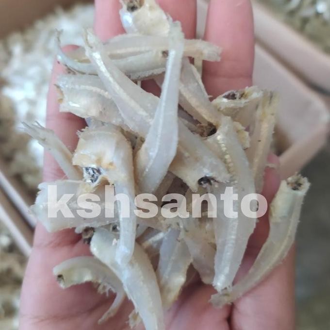 

Ikan Asin Teri Jengky Daging-500Gram