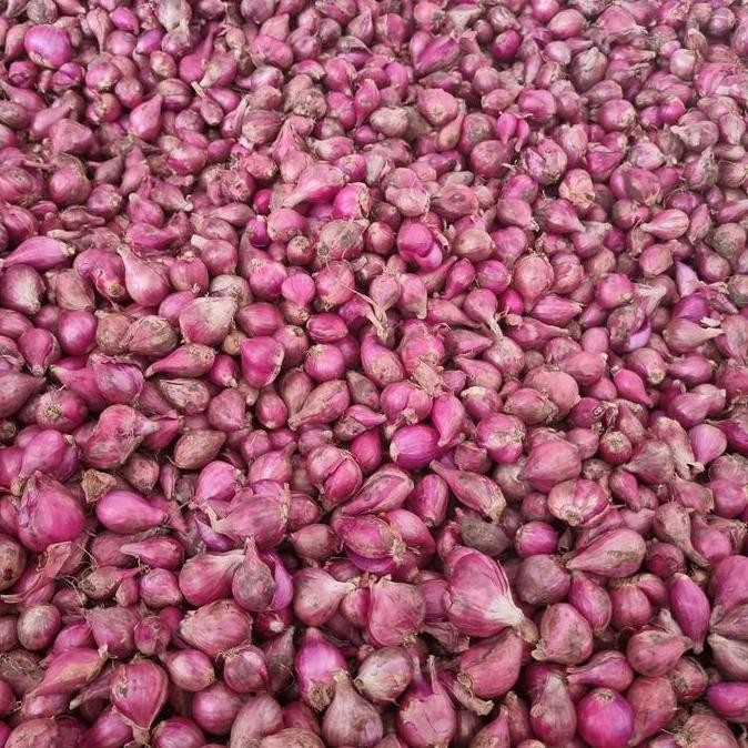 

Bawang Merah Kupas 1Kg
