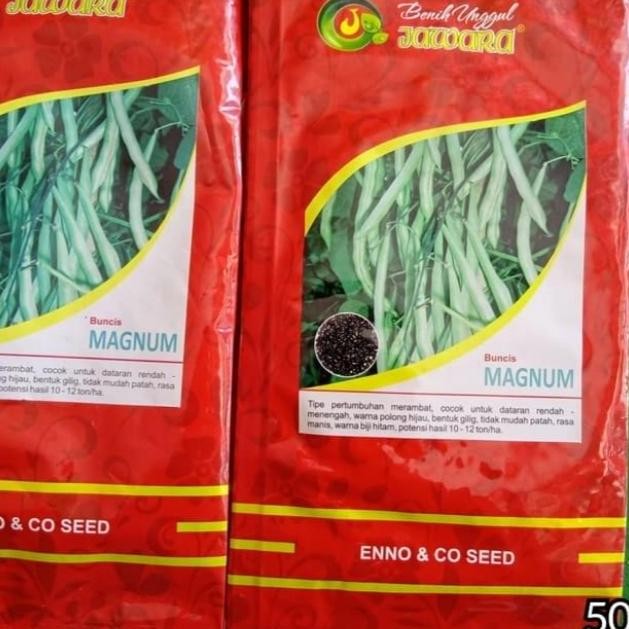

Parling Laris! Benih Buncis Magnum (Biji Hitam) 500Gr Produk Unggulan Jawara