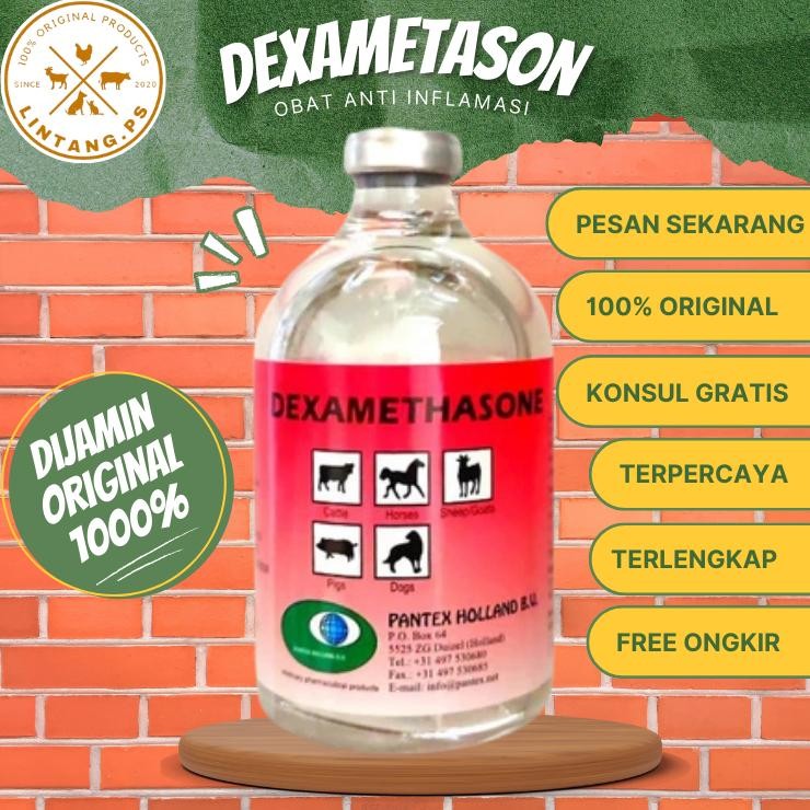 Dexametason Injeksi 100Ml Obat Anti Inflamasi Dexa 100Ml
