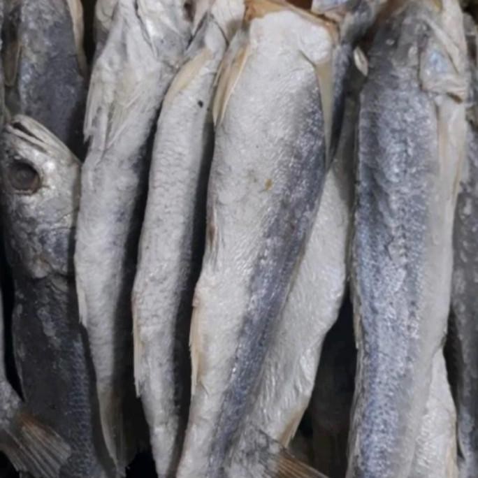 

Ikan Asin Samge panjang Khas Medan 250 gr
