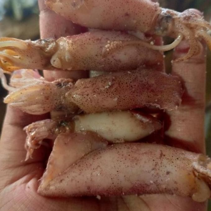 

TERSEDIA ikan cu asin kering per 500gr