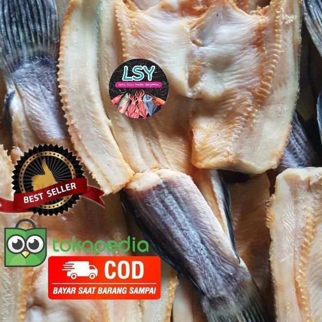 

ready ikan asin gabus kolam