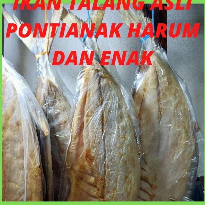 

ikan asin jambal roti ikan asin talang pedak super asli pontianak