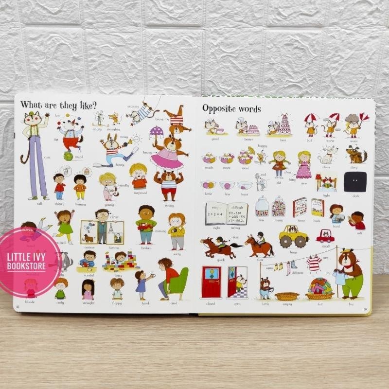 The Usborne Big Book Of English Words. Board Book. Buku Anak Import