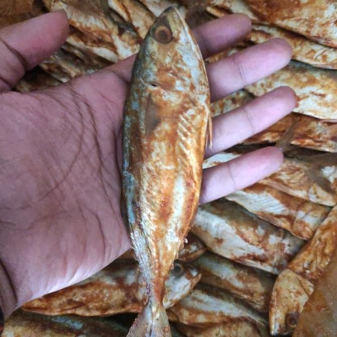 

[ Ikan Asin Peda Merah Asli Super Premium ukuran sedang