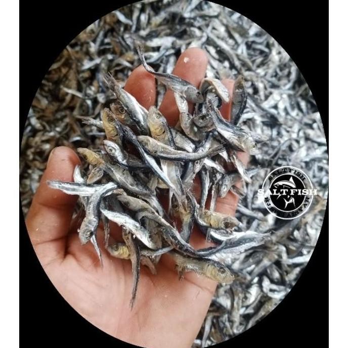

Ikan Asin Lemet Kering 1 Kg Gram Nikmati rasa gurih khas ikan lemet yang kering dan renyah