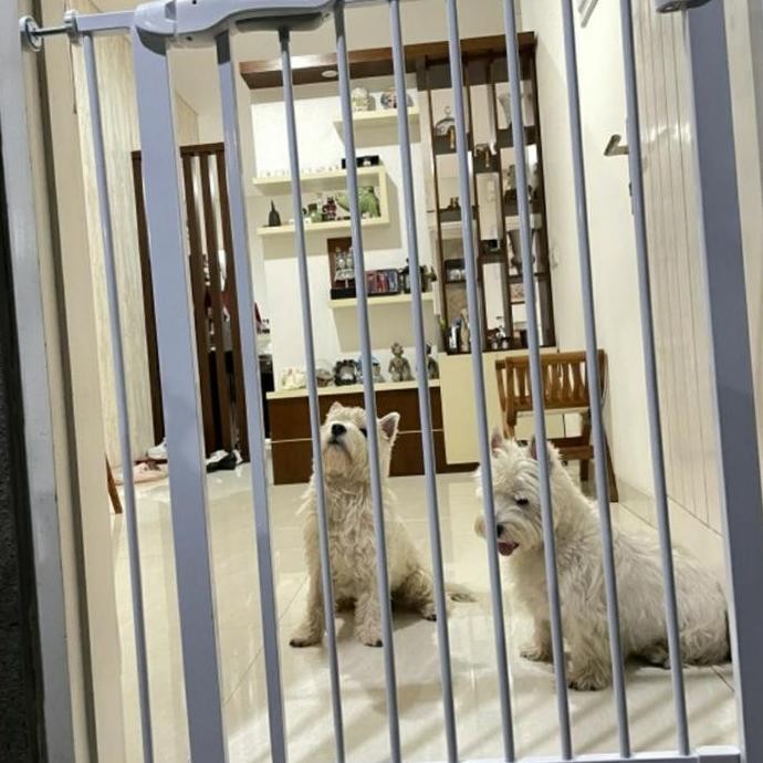 NEW PAGAR PEMBATAS TINGGI 100cm / PAGAR ANJING / KANDANG PAGAR ANJING