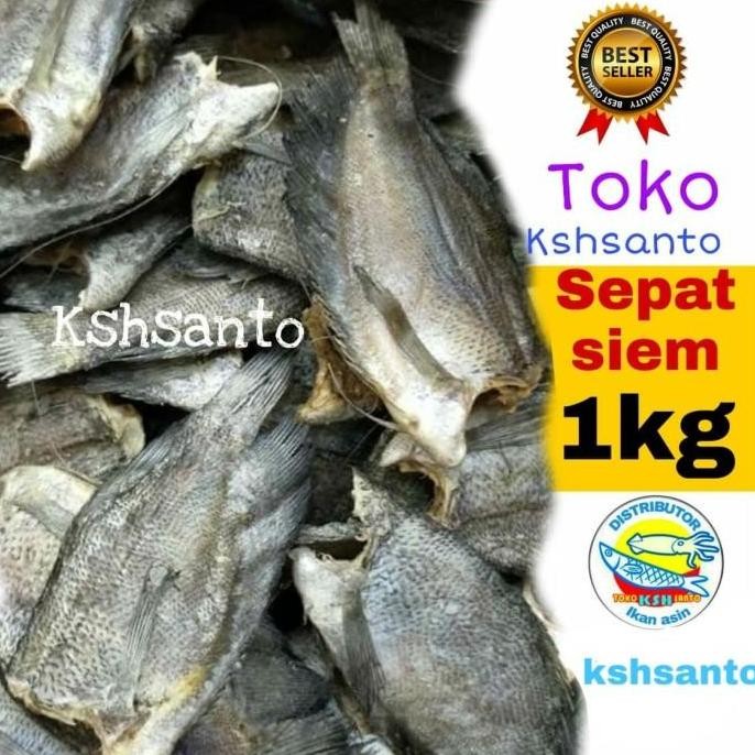 

SALE TERLARIS IKAN ASIN SEPAT SIEM SUPER-1KG READYY