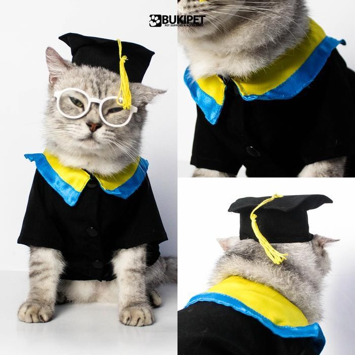 Baju Kucing Dan Anjing Lucu Cowok - Baju Wisuda