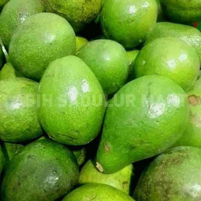 

RKM Buah Alpukat mentega super murah promo diskon bandung