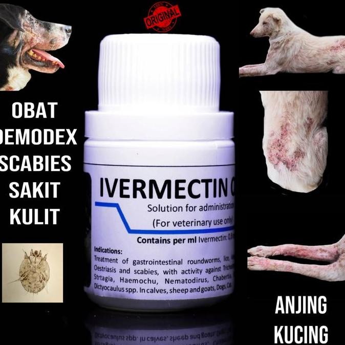 BEBAS ONGKIR - Ivermectin oral obat sakit kulit,demodex,gatal gatal anjing dan kucing