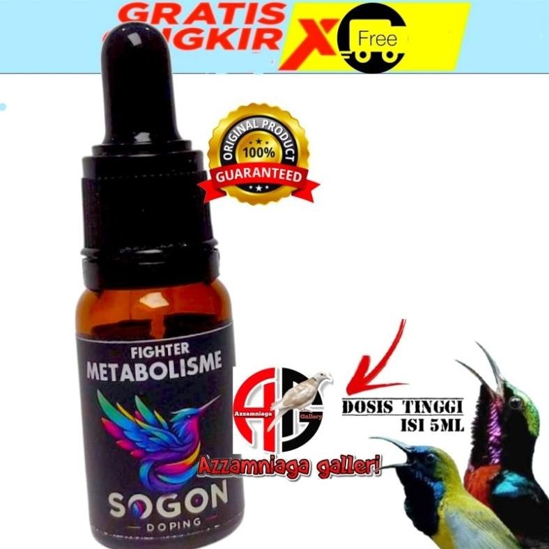 METABOLISME FIGHTER  SOGON METABOLISME  PLECI DiM