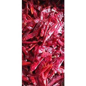 

Unik 1Kg Cabe Merah Besar Infor Tanpa Tangkai