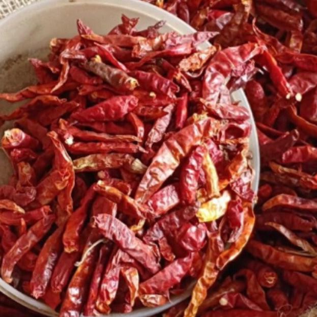 

Praktis Cabe Rawit (Teja)1Kg/Petik(Tanpa Tangkai)Cabai Kering Rawit Asli Extra Pedas