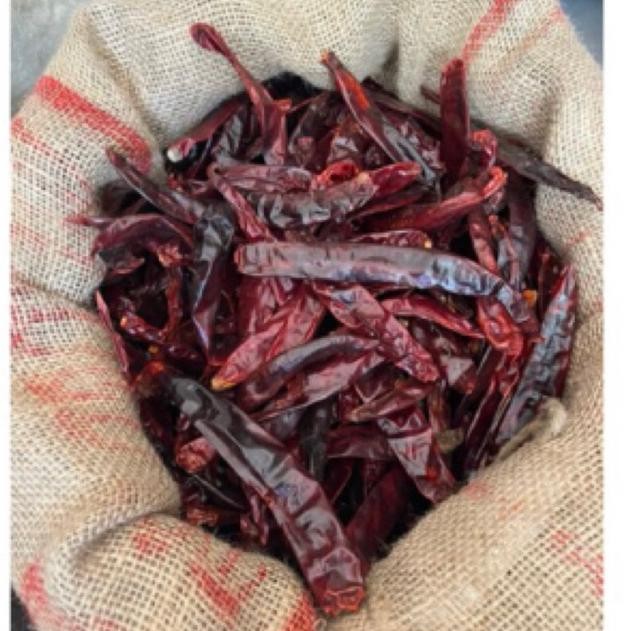 

Terjangkau Cabe Besar(Wonder Hot)Kering/1Kg/Petik(Tanpa Tangkai /Cabai Merah Besar Kwalitas Super
