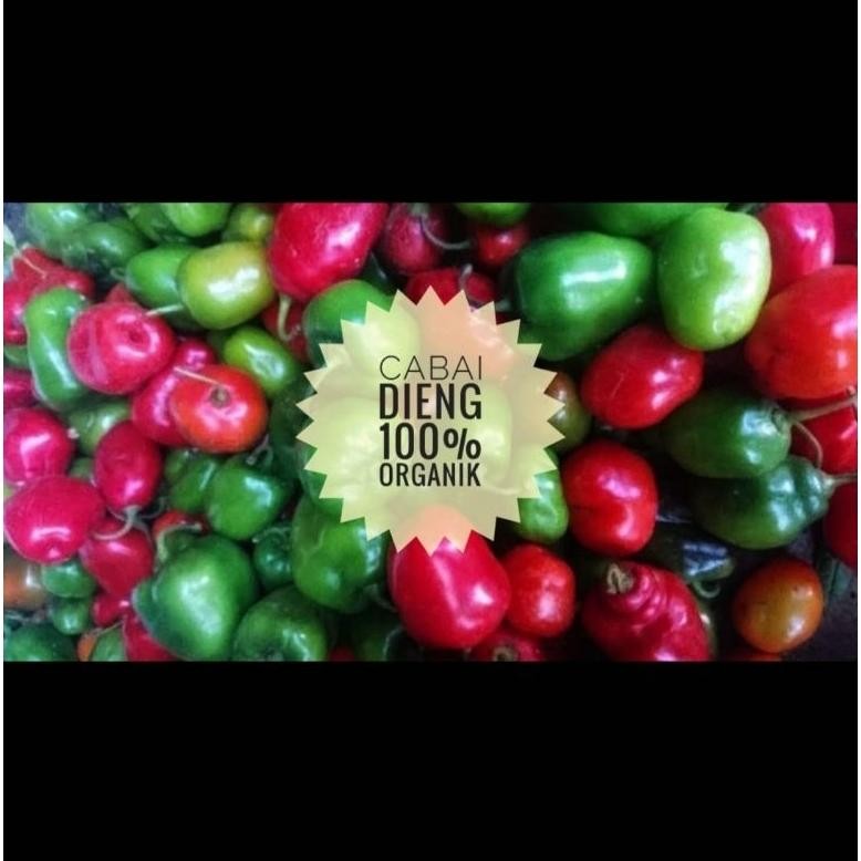 

Keuntungan Cabe Gendot Organik Dieng 1 Kg (Harga Promo,Rusak Kami Ganti !)