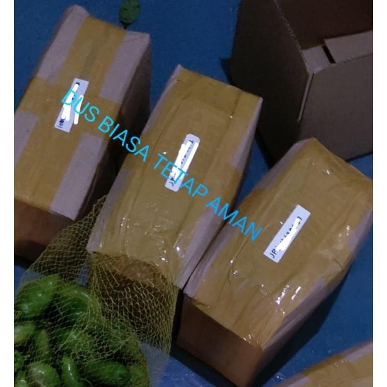 

Mudah Perawatan Cabai Gendot Khas Kota Garut Berat 1 Kg