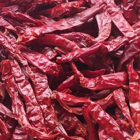 

Praktis Cabe Kering | Cabe Merah Besar Kering Tanpa Tangkai | Kemasan Vakum