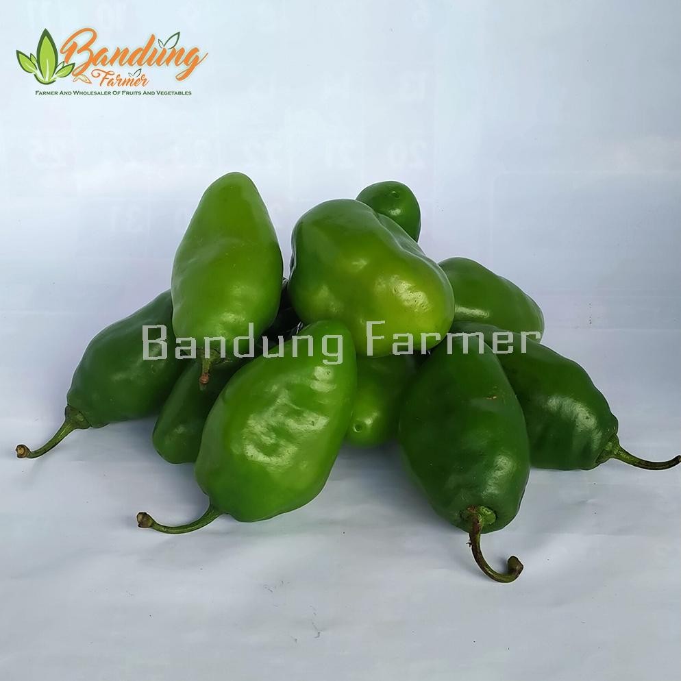 

Mewah Cabe Gendot Bandung 250 Gr Fresh