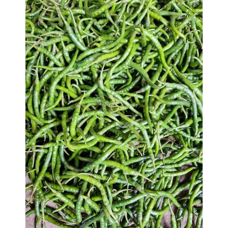 

Terpercaya Cabe / Cabai Keriting Hijau 500Gr Murah