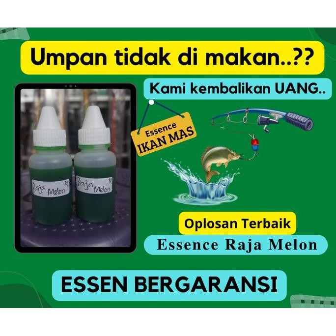 Super Murah, Essen Ikan Mas Oplosan Bergaransi