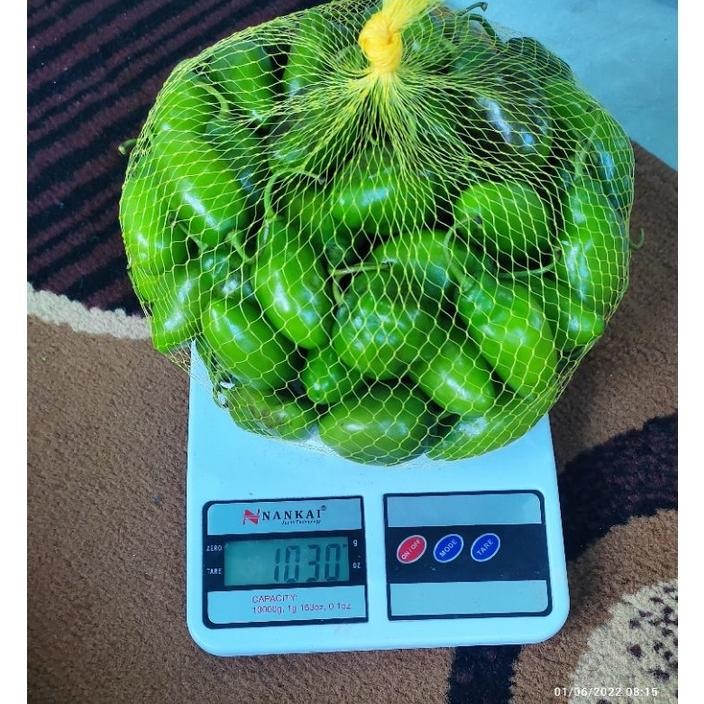 

Premium Cabai Gendot Khas Kota Garut Berat 1 Kg