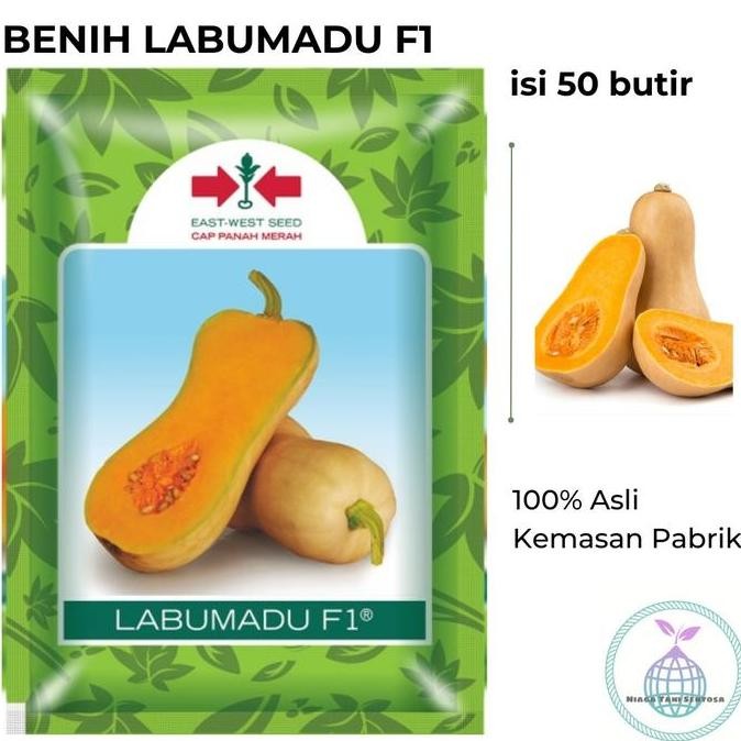 

TERMURAH BENIH LABU MADU F1 ISI 50 BUTIR CAP PANAH MERAH BIBIT BERKUALITAS