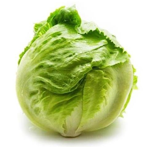 

New Selada Bulat Segar 250gr Head Lettuce Lettuce Head Butterhead Organic