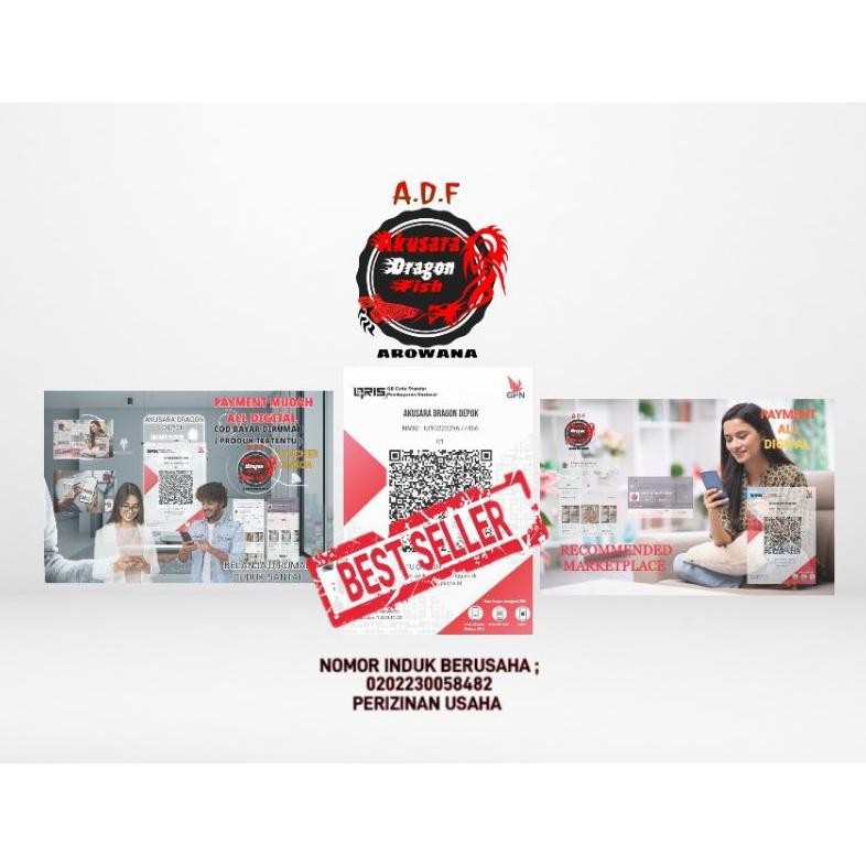 

Original Udang Fresh/ Udang Api Beku Isi 500Gram/ Pakan Ikan Arowana Predator Ir-38