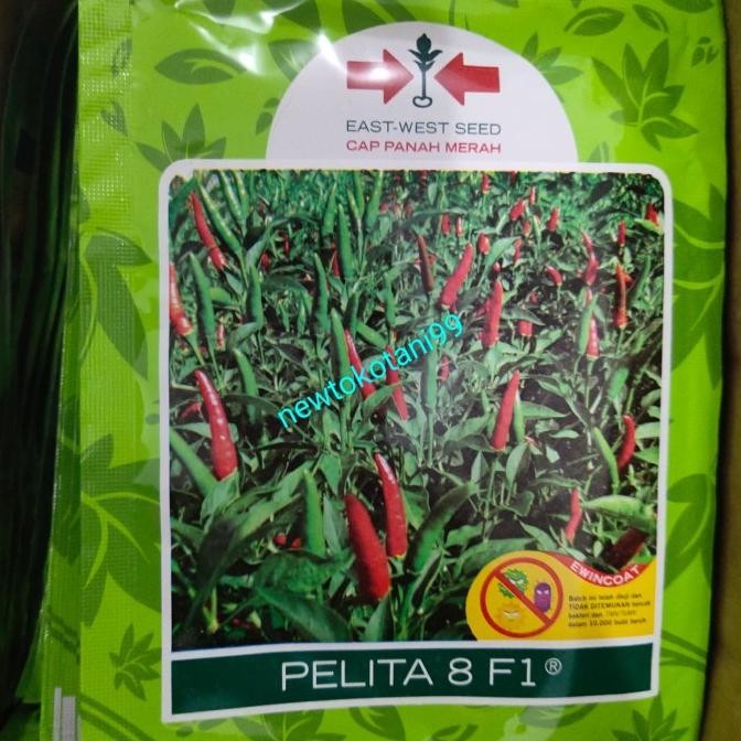 benih cabe PELITA 8 F1 2250 butir cabai rawit hijau dari panah merah