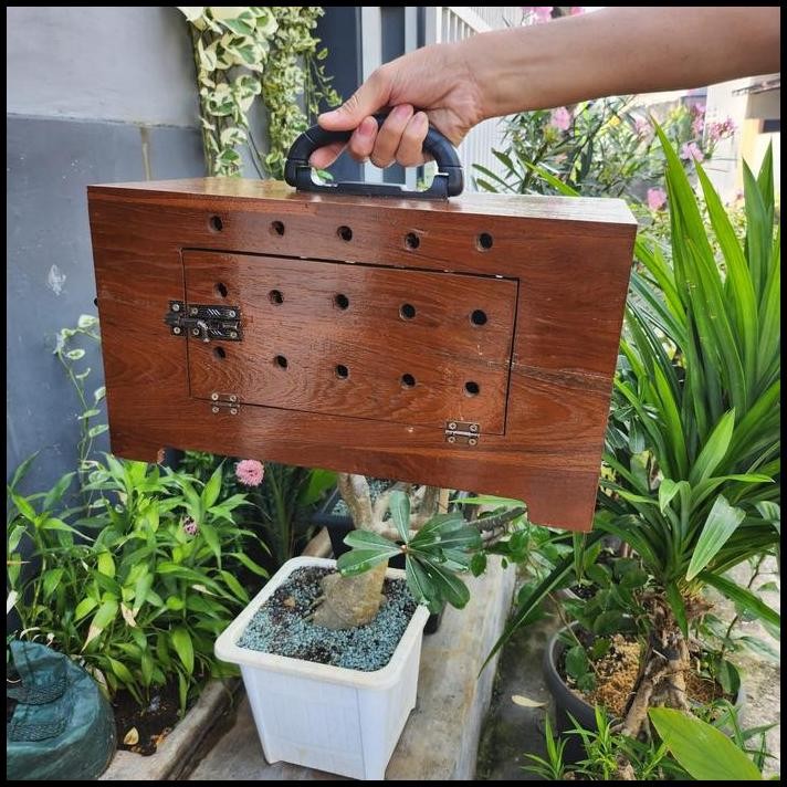 BOX FREE FLY KAYU JATI UNTUK SMALL PARROT BOX FF BURUNG