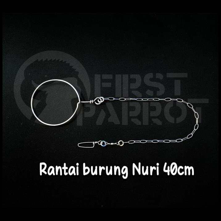 rantai burung nuri