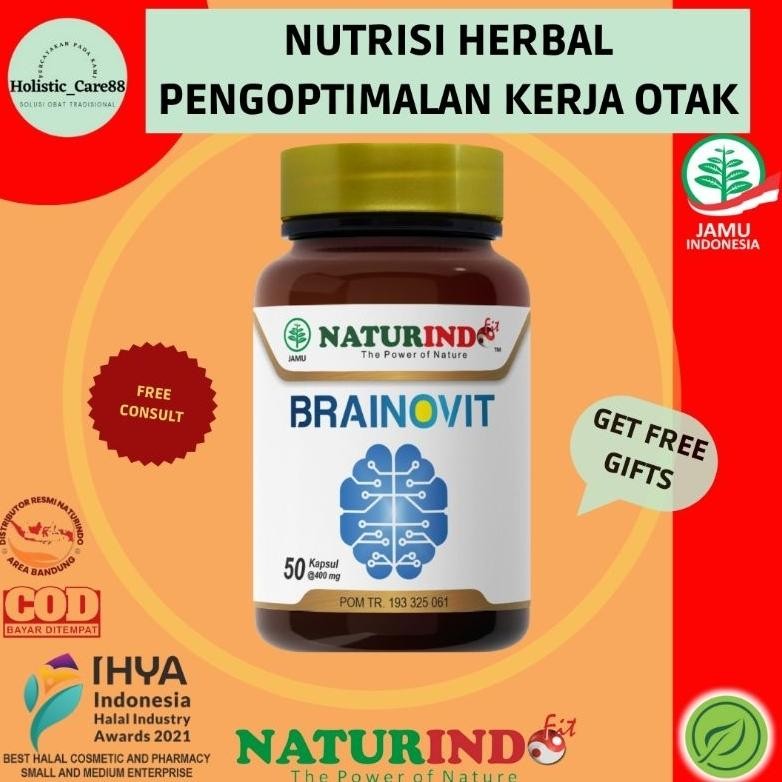 Nutrisi Herbal Otak Nutrisi Penambah Daya Ingat Nutrisi Herbal Alzhiemar Penuaan Spesial Brainovit D