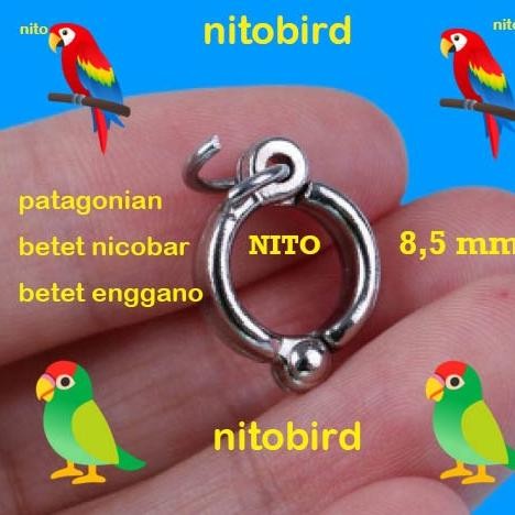 ring borgol 8,5mm betet enggano nicobar patagonian conure ring kaki burung parrot 0,85cm kuat aman r