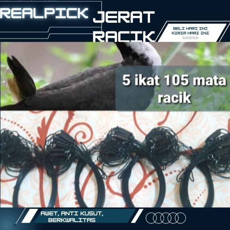ARING JERAT 105 LUBANG MATA RACIK RUAK RUWAK AYAM HUTAN WAK WAK 5 IKAT TIDAK MUDAH KUSUT BURUNG SAWA