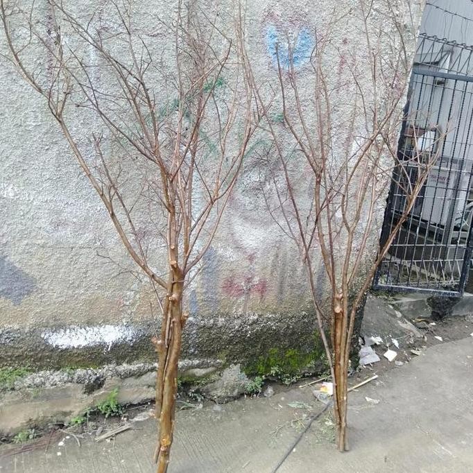 BEBAS ONGKIR - RANTING BUNGA/RANTING KAYU KHUSUS UNTUK BUNGA PLASTIK/BUNGA HIAS