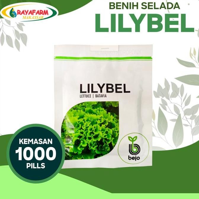 Benih Bibit Selada Batavia Lilybel 1000 Pill - Bejo